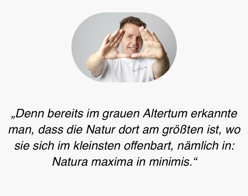 Natura maxima in minimis